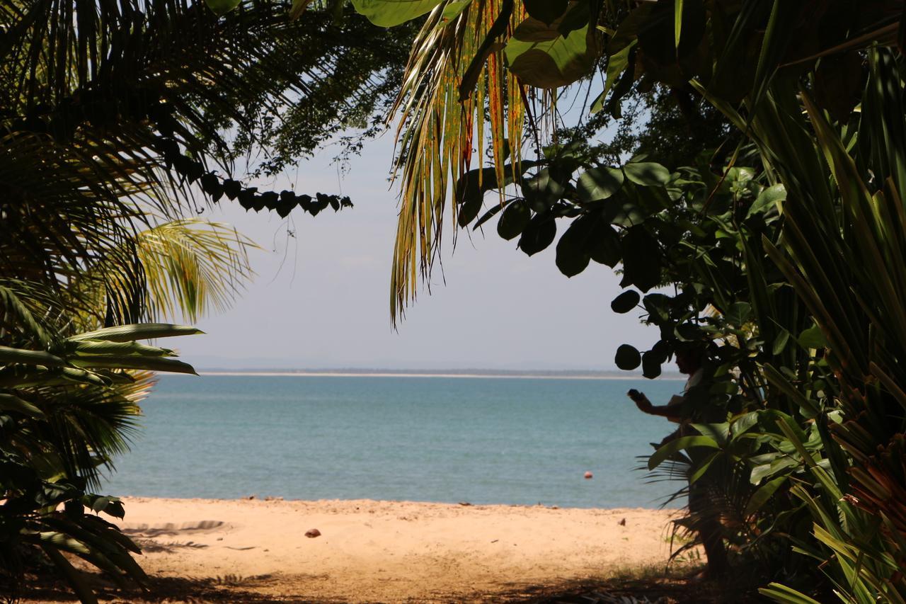 Coroaci Beach House Barra Grande  Eksteriør billede
